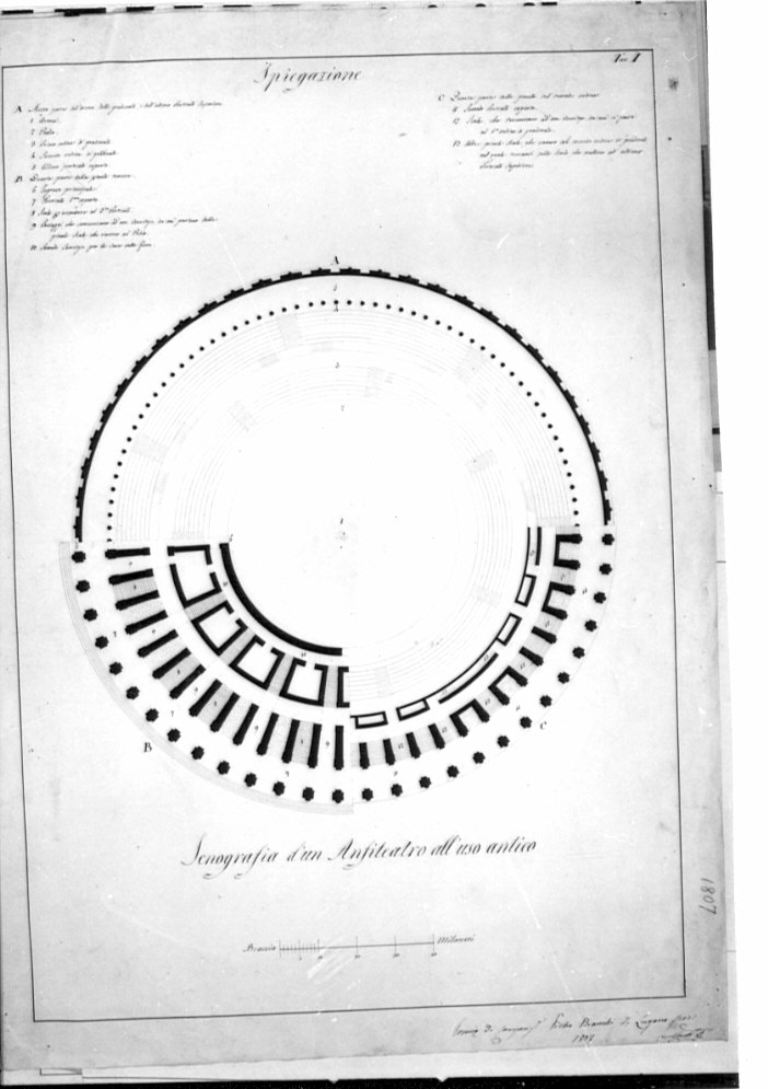 pianta, architettura: progetto per anfiteatro (disegno, opera isolata) di Bianchi Pietro (sec. XIX)