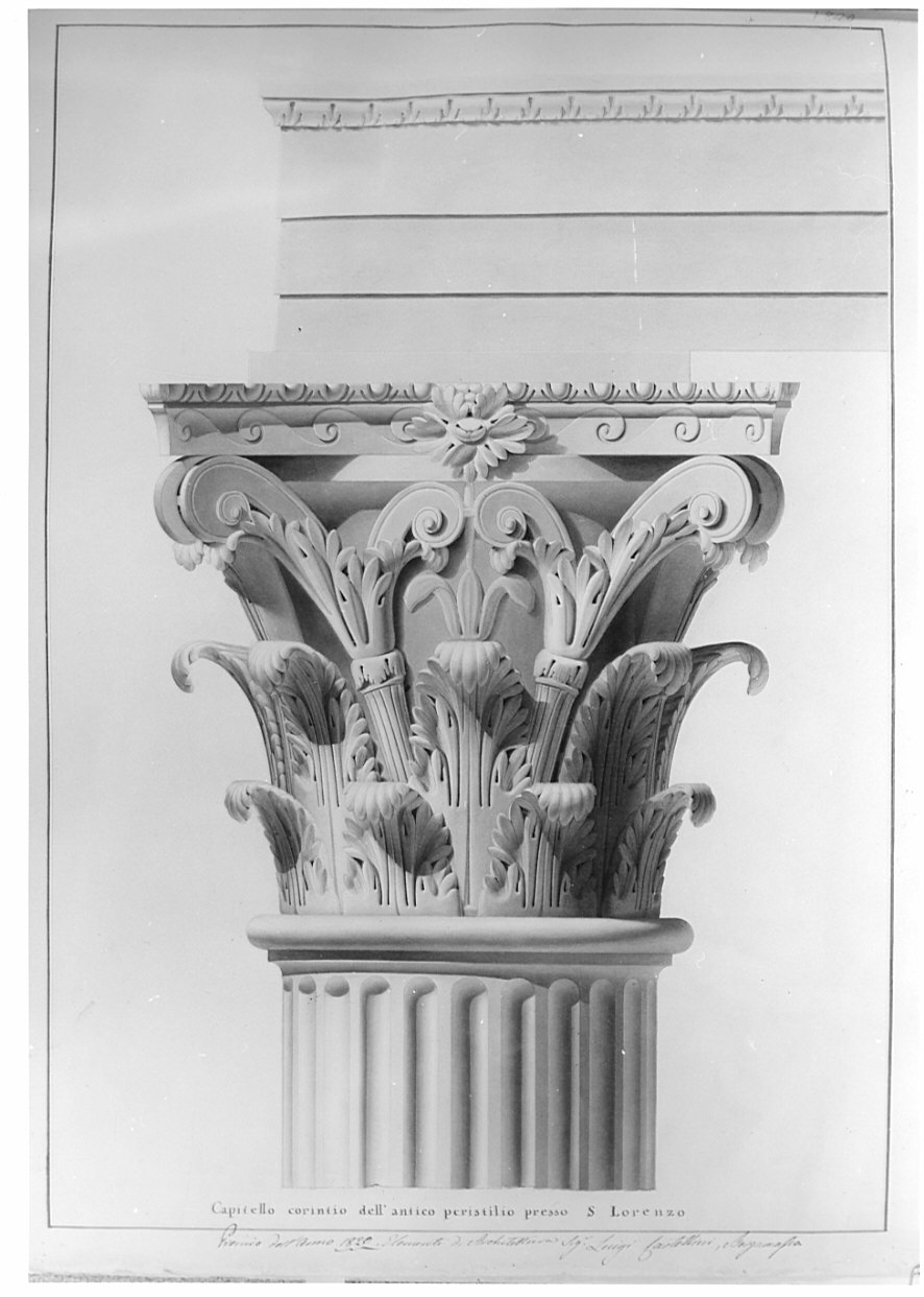 alzato, architettura: rilievo di capitello corinzio di S. Lorenzo (disegno, opera isolata) di Castellini Luigi (sec. XIX)