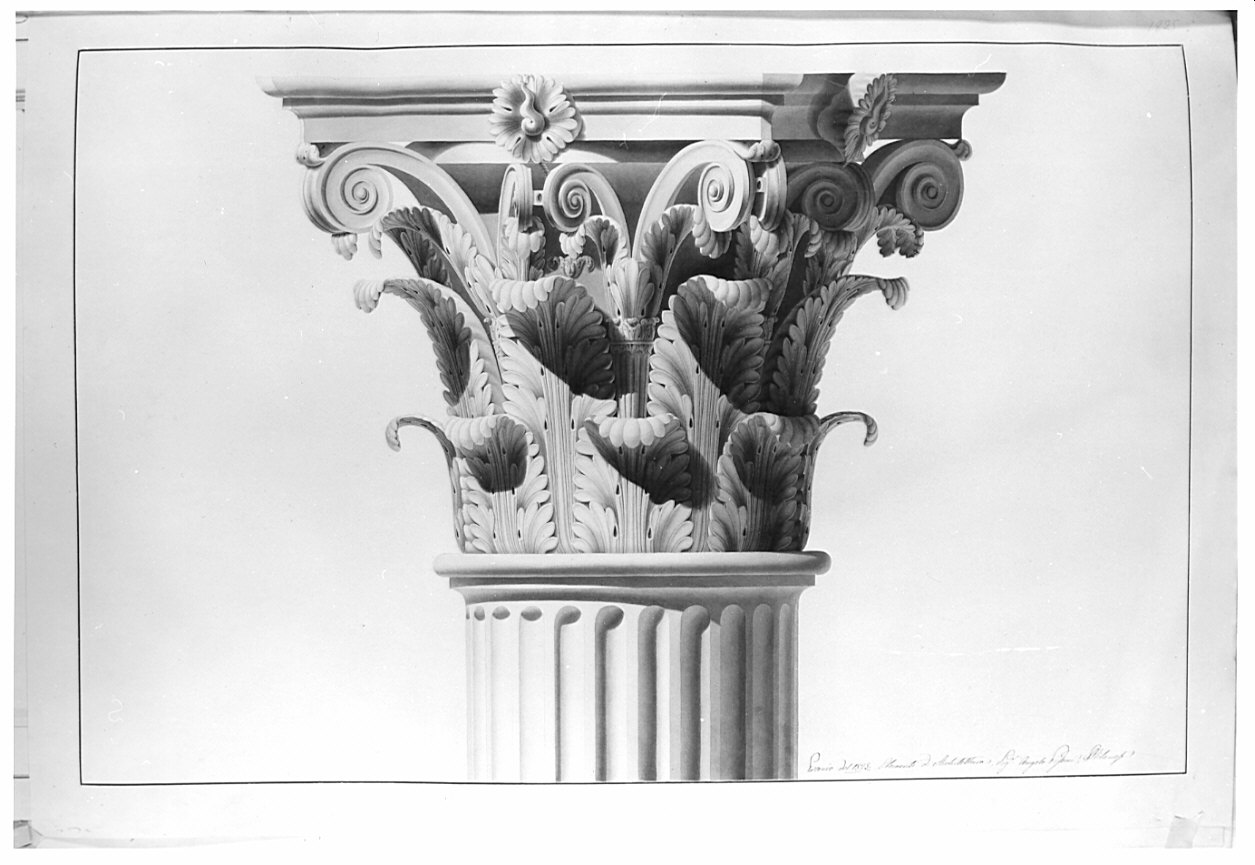 prospetto in fuori angolo, architettura: rilievo di capitello corinzio (disegno, opera isolata) di Pisoni Angelo (sec. XIX)