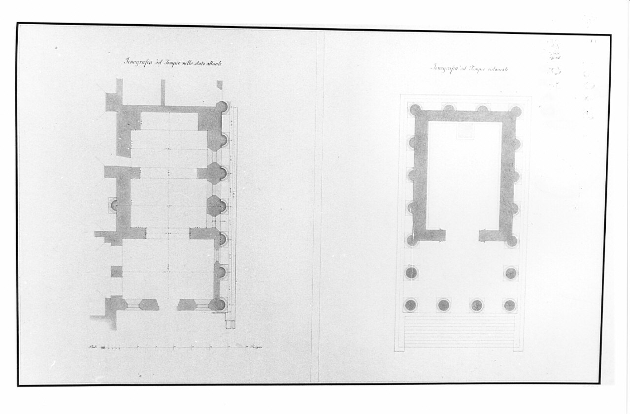 piante, architettura: rilievo del Tempio della Fortuna Virile (disegno, opera isolata) di Besia Gaetano (sec. XIX)