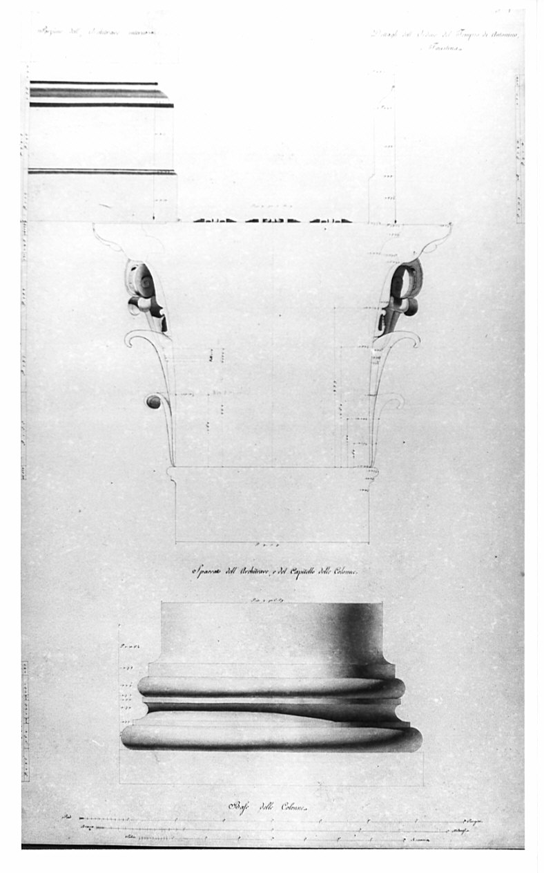 alzato, sezioni, architettura: rilievo del Tempio di Antonino e Faustina (disegno, opera isolata) di Bianconi Giacomo (sec. XIX)