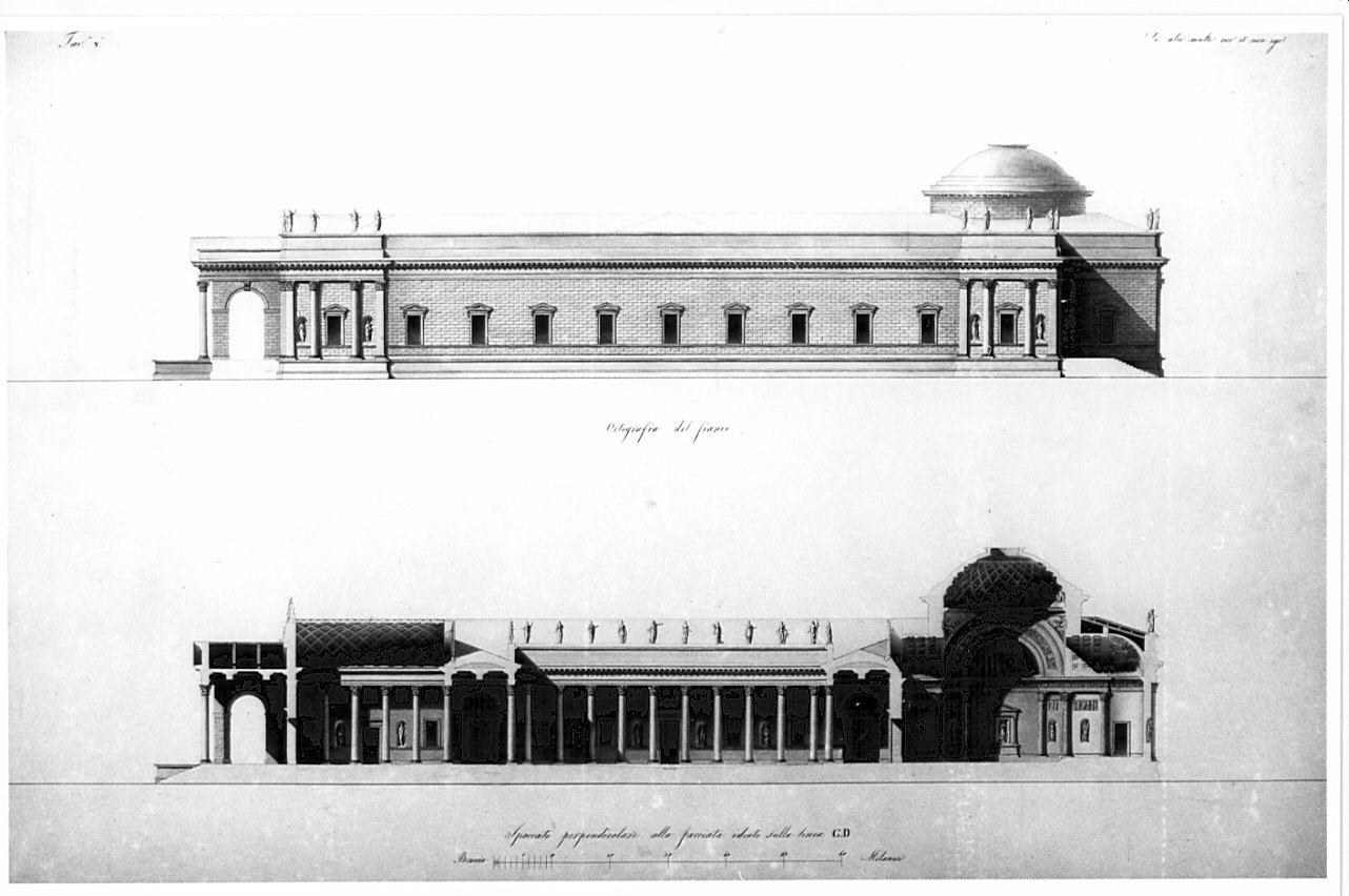 prospetto e sezione, architettura: progetto per un Liceo e Giardino Botanico (disegno, opera isolata) di Caronesi Ferdinando (sec. XIX)