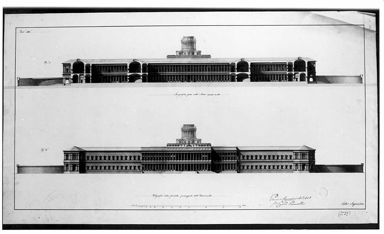 prospetto e sezione, architettura: progetto per Università (disegno, opera isolata) di Peverelli Carlo (sec. XIX)