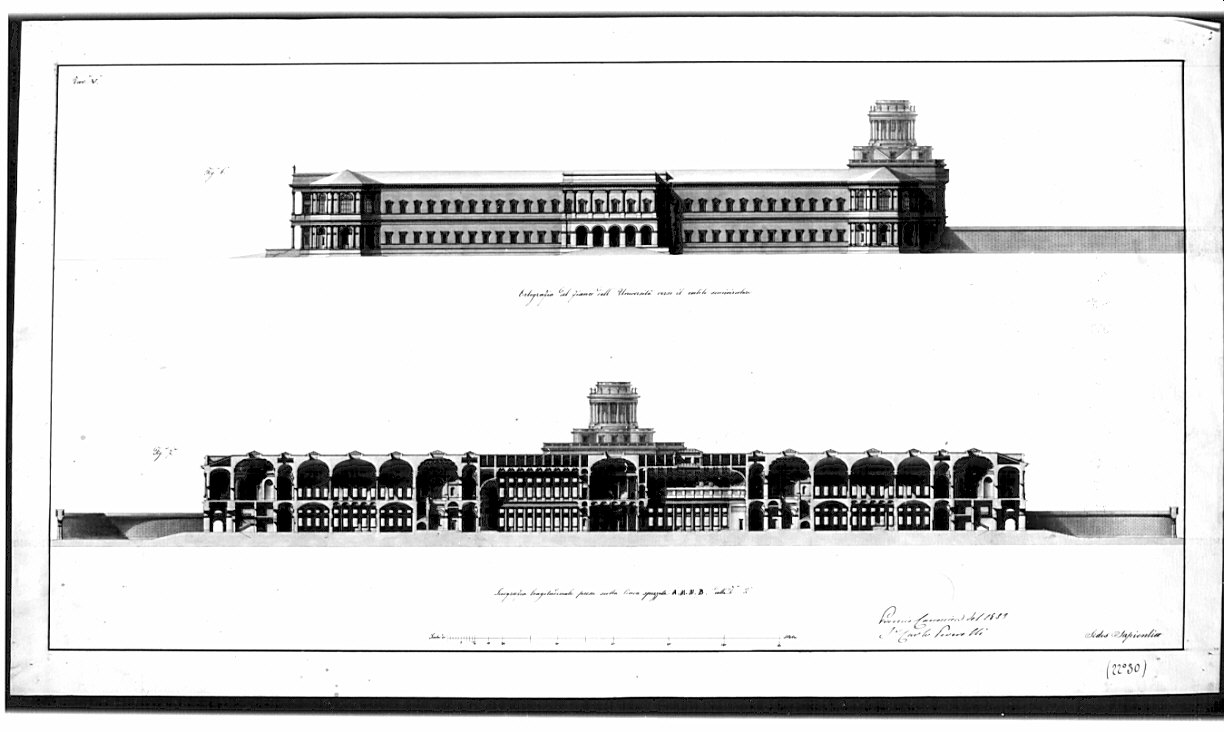 prospetto e sezione, architettura: progetto per Università (disegno, opera isolata) di Peverelli Carlo (sec. XIX)
