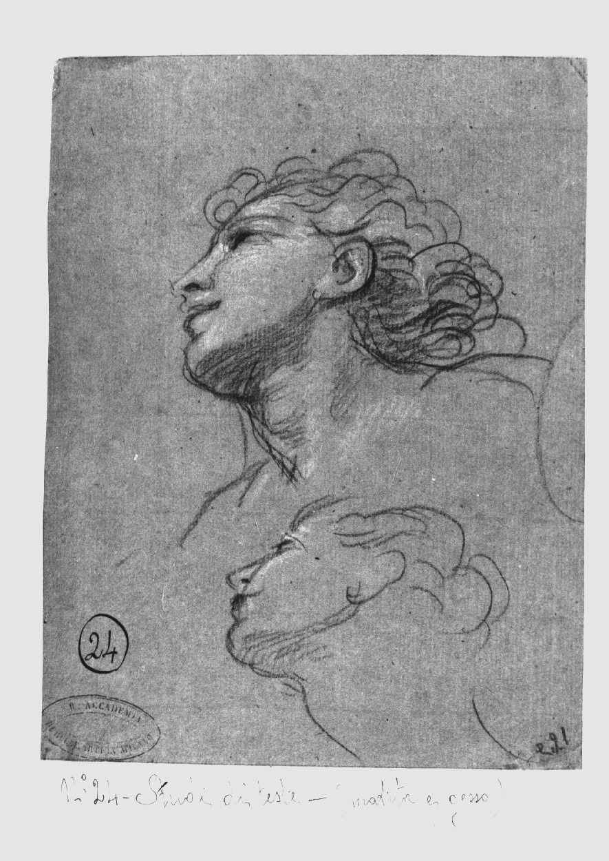 Studi di teste, testa d'uomo (disegno, opera isolata) di Appiani Andrea (sec. XVIII)