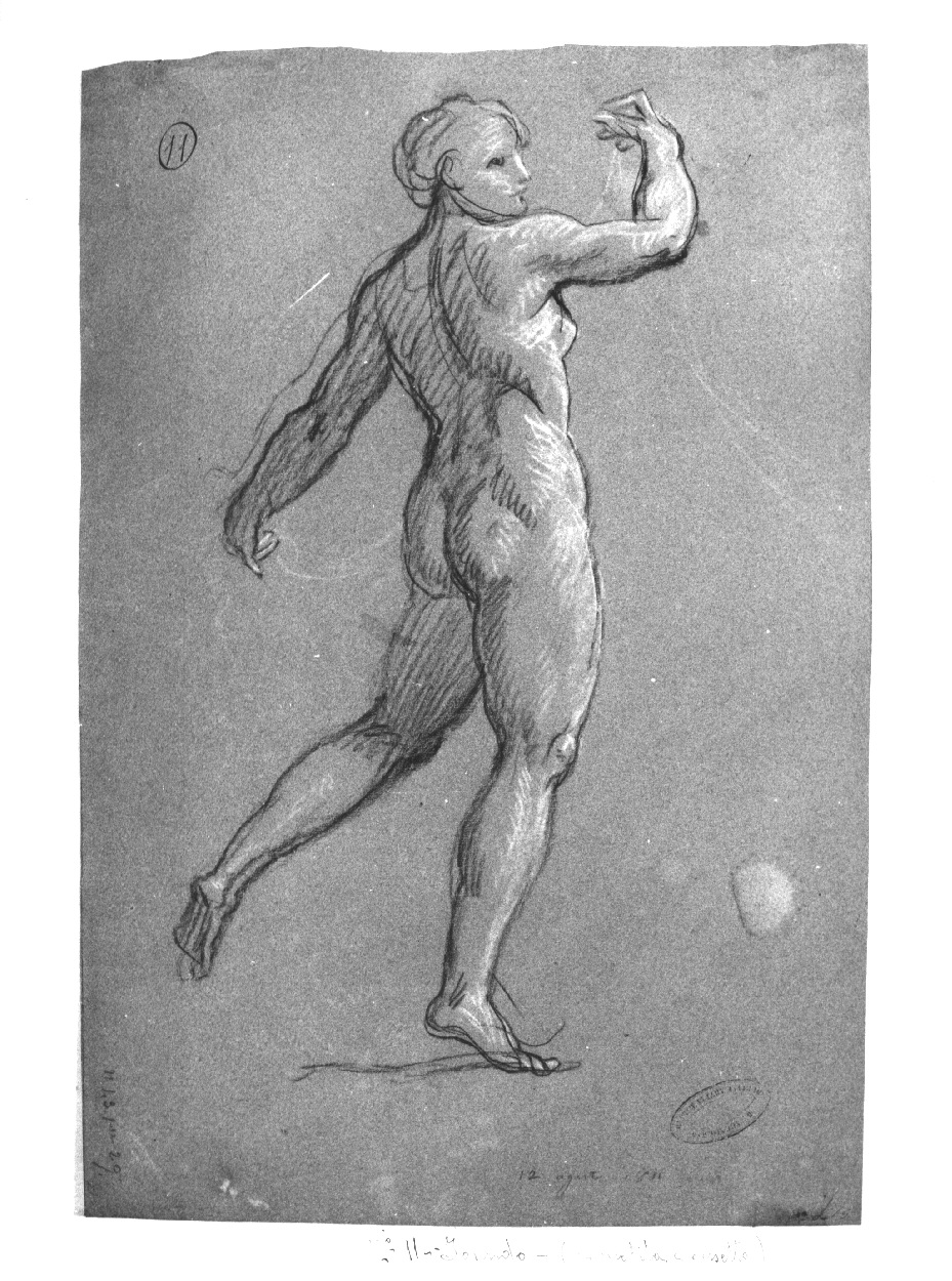 Ignudo, Musa (disegno, opera isolata) di Appiani Andrea (sec. XIX)