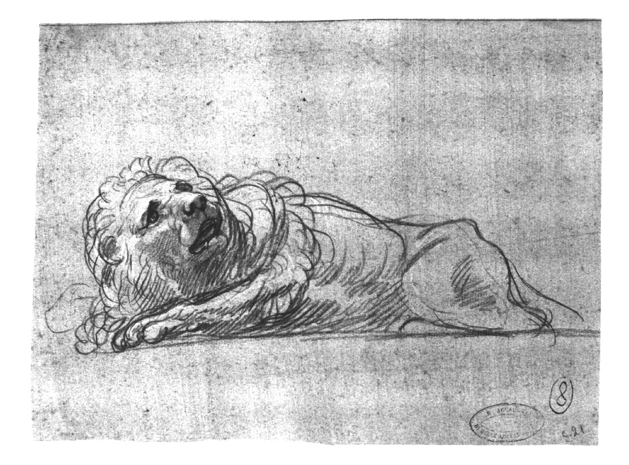 Leone, leone (disegno, opera isolata) di Appiani Andrea (inizio sec. XIX)