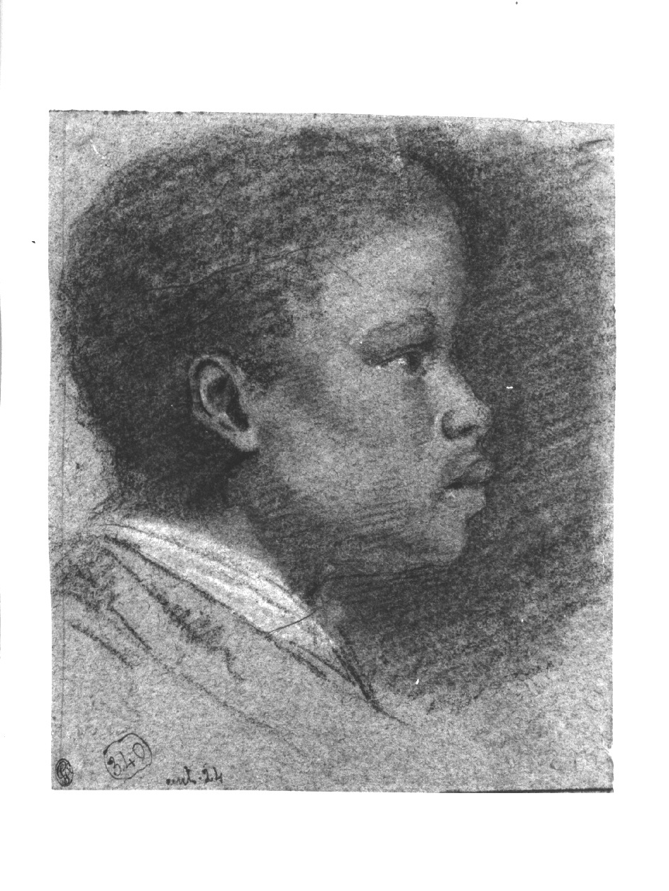 Testa di Mulatto, ritratto maschile/ ritratto maschile (disegno, opera isolata) di Appiani Andrea (inizio sec. XIX)