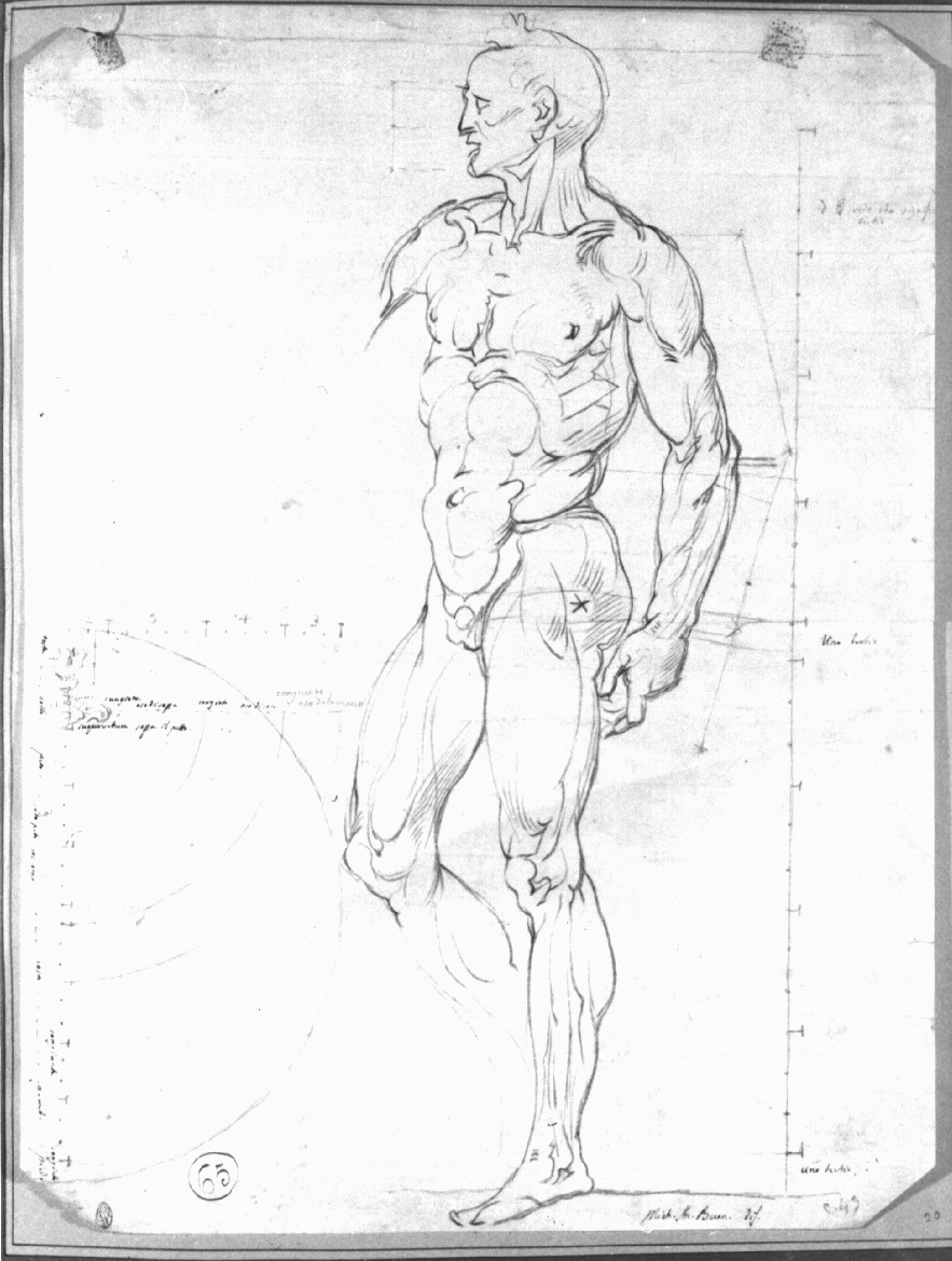 Figura di nudo maschile, figura maschile (disegno, opera isolata) di Appiani Andrea (attribuito) (sec. XVIII)