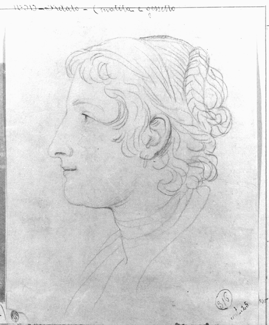 testa femminile di profilo (disegno, opera isolata) di Appiani Andrea (sec. XIX)