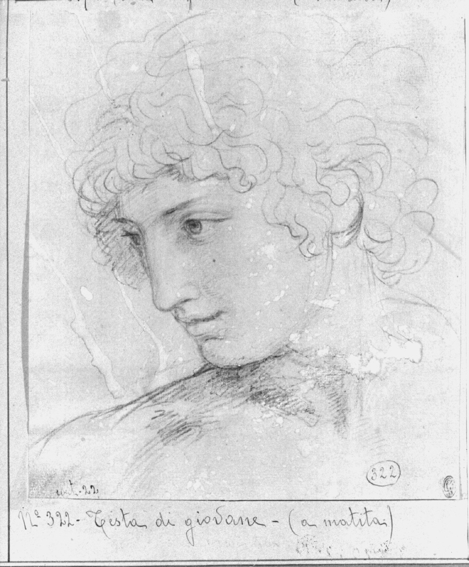 Testa di giovane, testa maschile girata a sinistra (disegno, opera isolata) di Appiani Andrea (sec. XVIII)