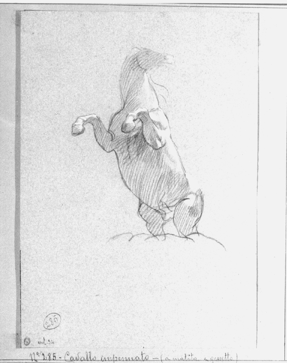 cavallo rampante (disegno, opera isolata) di Appiani Andrea (sec. XVIII)