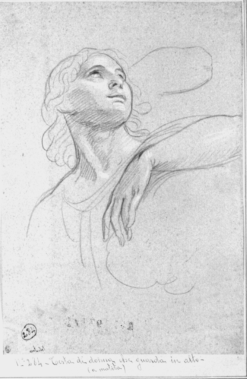 testa di donna (disegno, opera isolata) di Appiani Andrea (sec. XVIII)