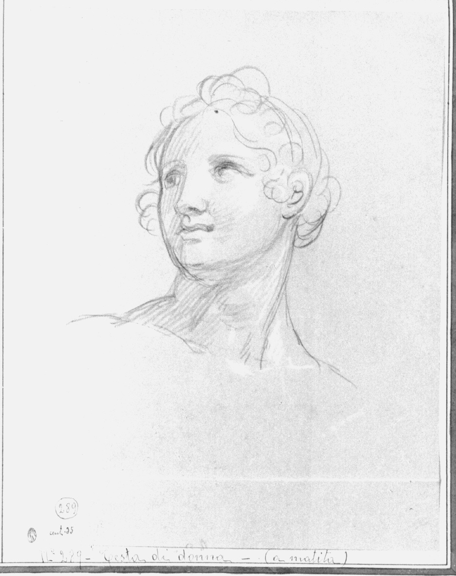 testa di donna (disegno, opera isolata) di Appiani Andrea (sec. XIX)