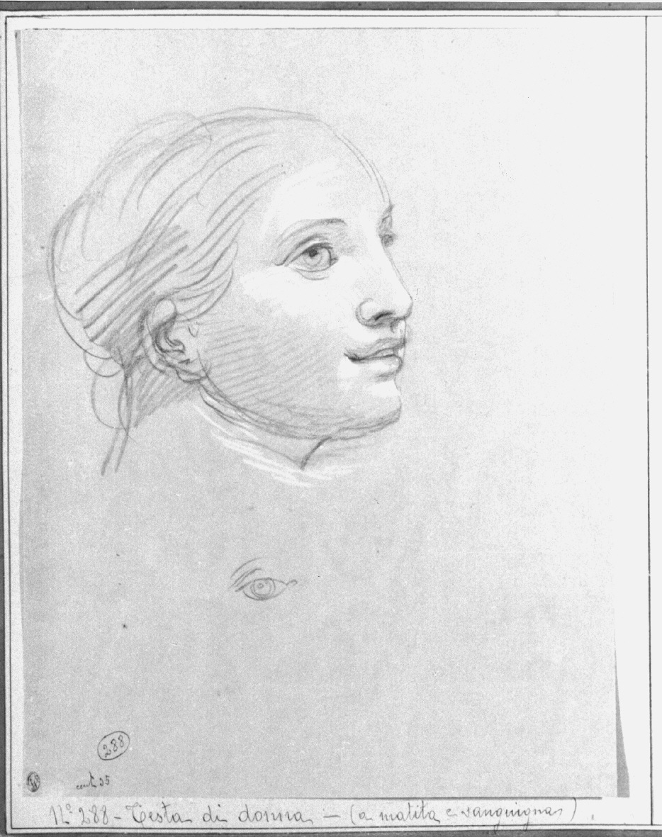 testa di donna (disegno, opera isolata) di Appiani Andrea (sec. XIX)