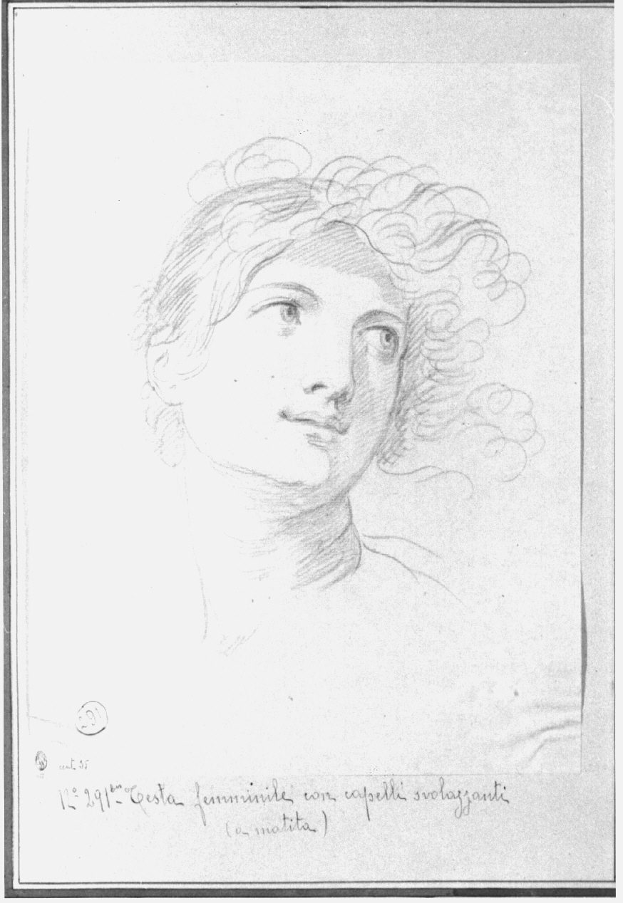 testa di donna (disegno, opera isolata) di Appiani Andrea (sec. XIX)