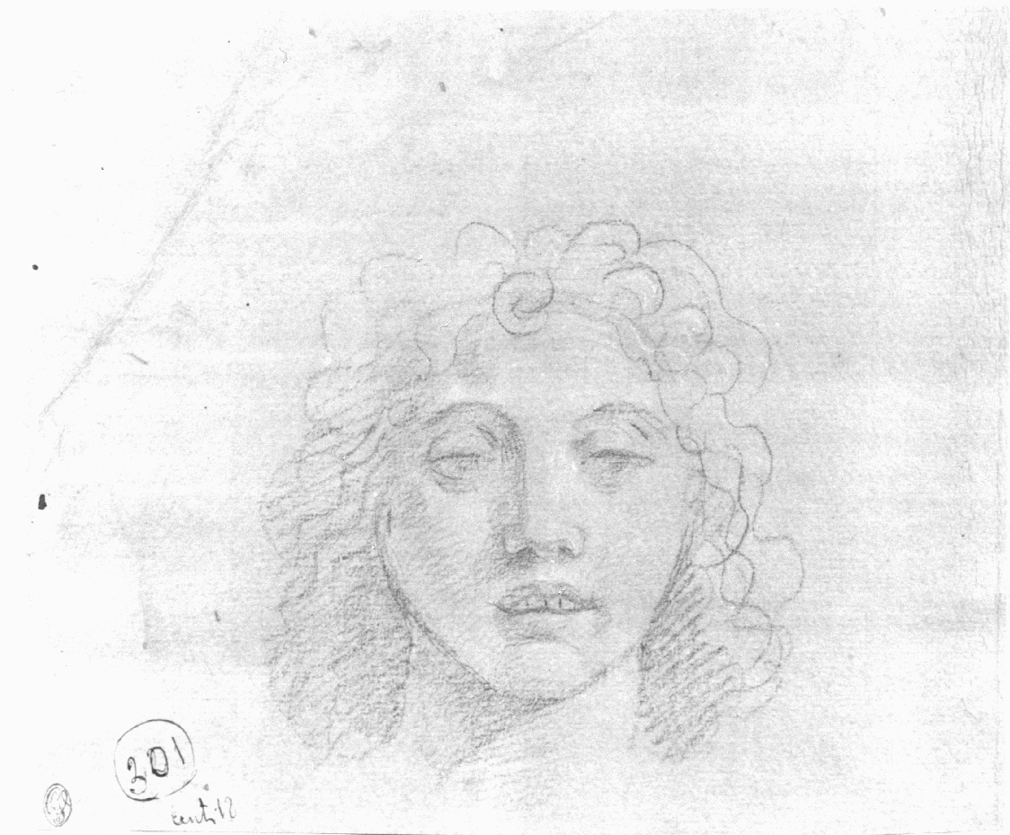testa d'uomo (disegno, opera isolata) di Appiani Andrea (sec. XVIII)