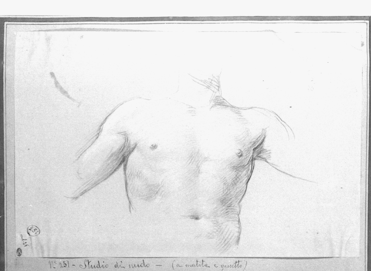 busto maschile (disegno, opera isolata) di Appiani Andrea (sec. XIX)