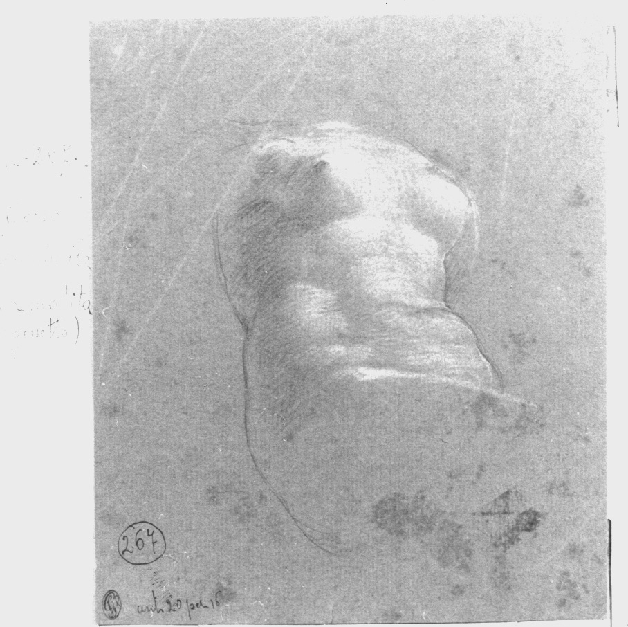 busto femminile (disegno, opera isolata) di Appiani Andrea (secc. XVIII/ XIX)