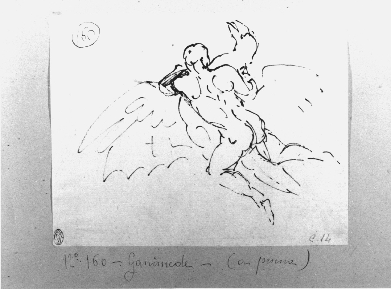 ratto di Ganimede (disegno, opera isolata) di Appiani Andrea (secc. XVIII/ XIX)