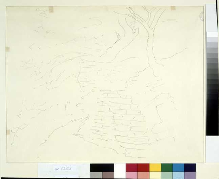 giardino (disegno, opera isolata) di Tamberlani Ferdinando (prima metà sec. XX)