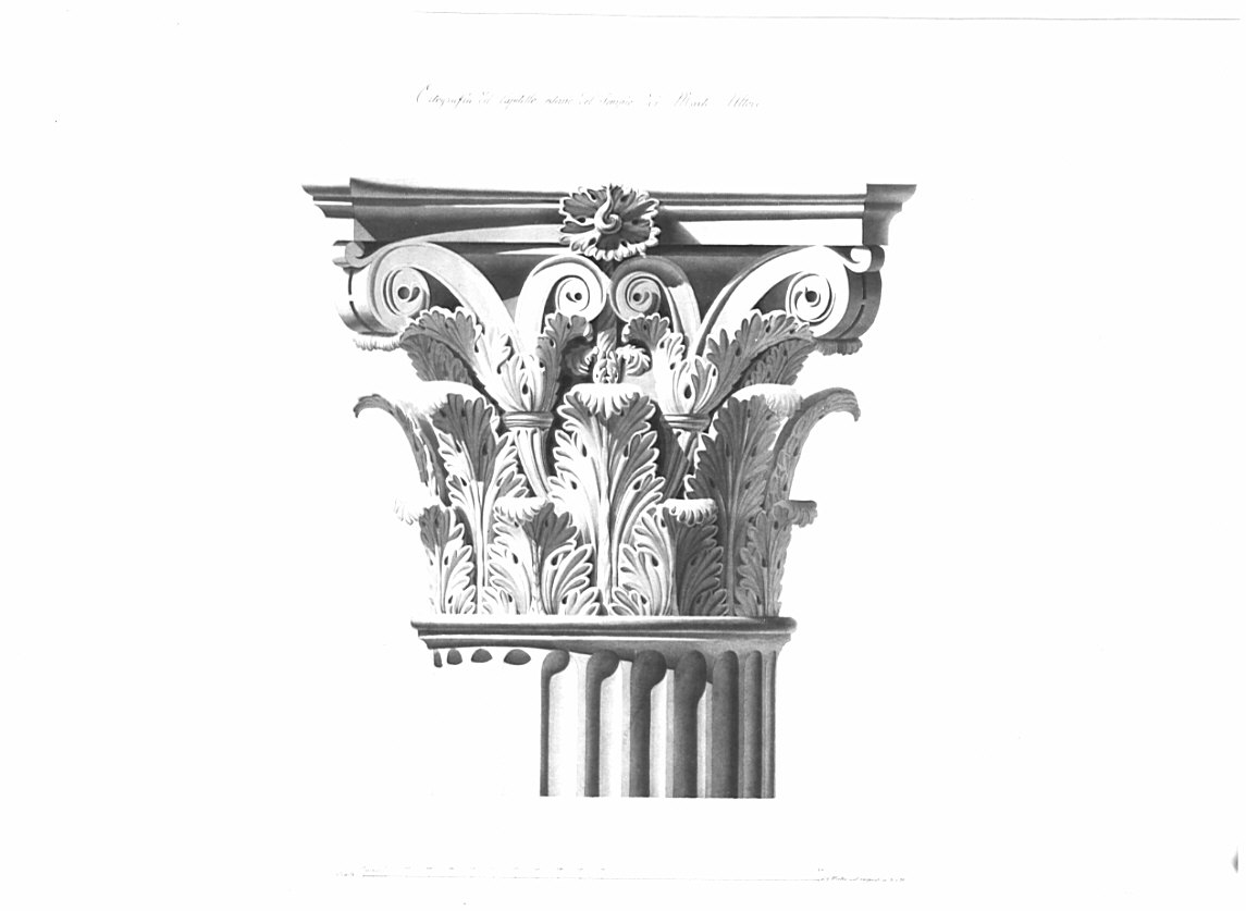 Prospetto di capitello, architettura: tempio di Marte Ultore (disegno, opera isolata) di Franzini Bartolomeo (sec. XIX)