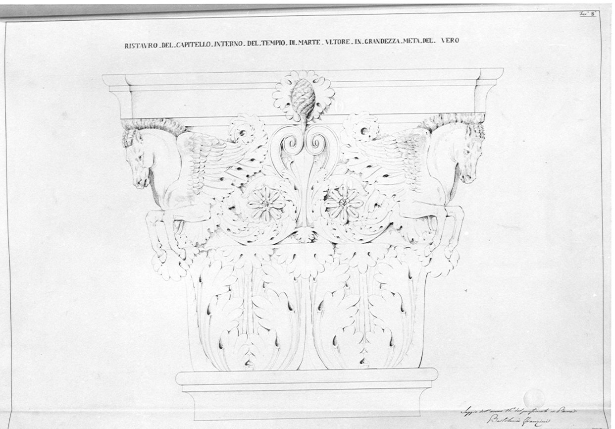 prospetto di capitello, architettura: Tempio di Marte Ultore (disegno, opera isolata) di Franzini Bartolomeo (sec. XIX)
