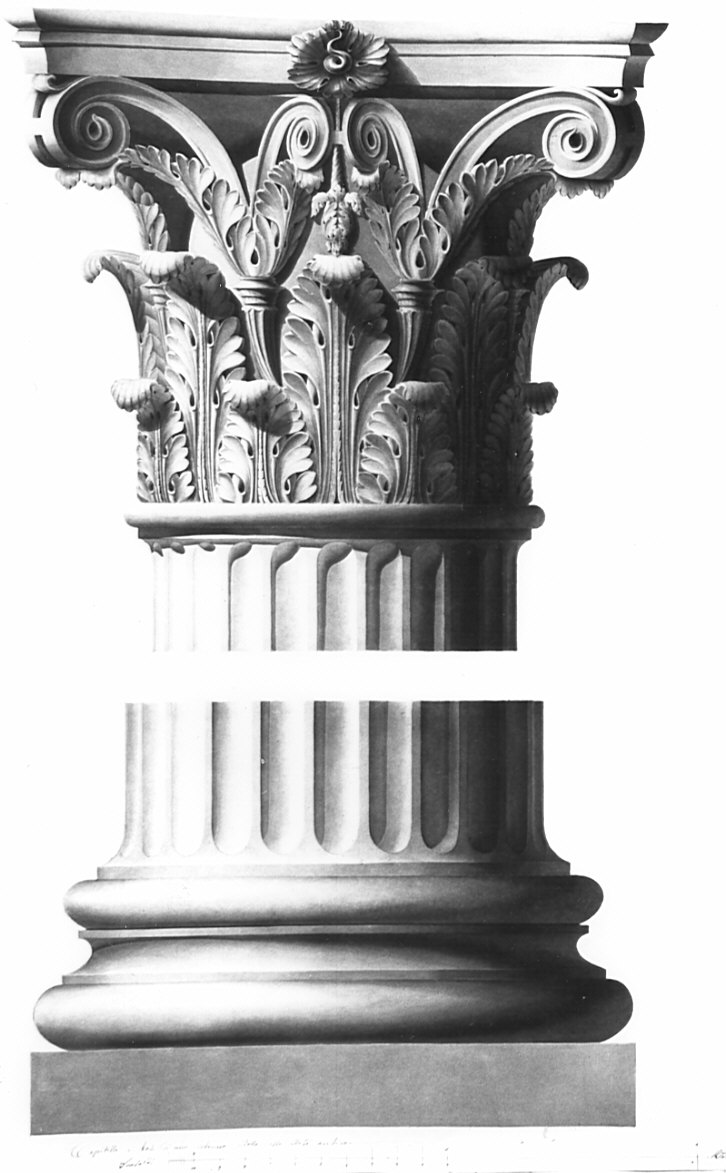 prospetto di capitello e base di colonna, architettura: Tempio di Marte Ultore (disegno, opera isolata) di Donghi Alessandro (sec. XIX)