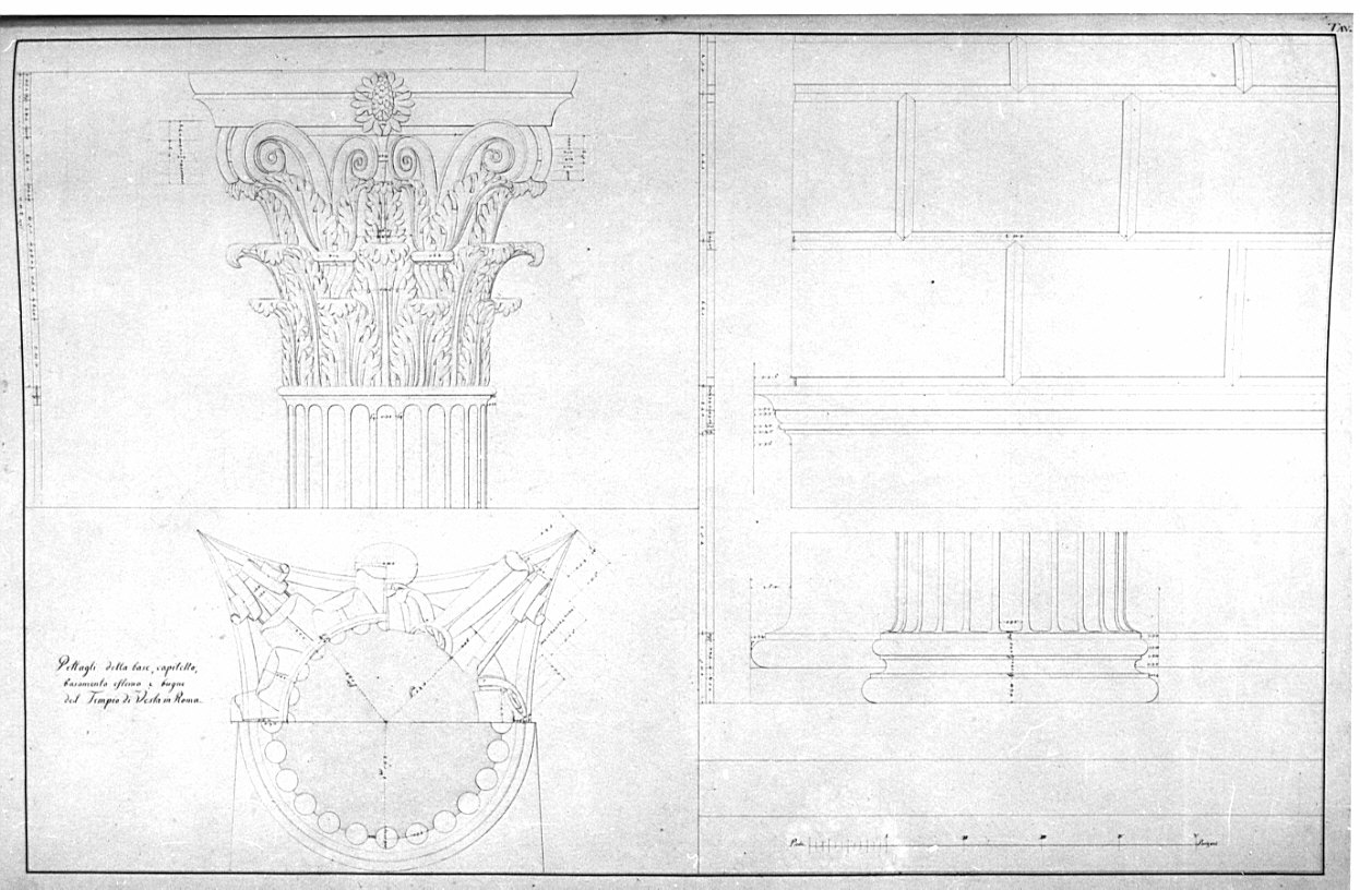 prospetto e sezioni di capitello e base di colonna, basamento, architettura: rilievo del Tempio di Vesta a Roma (disegno, opera isolata) di Bovara Giuseppe (sec. XIX)