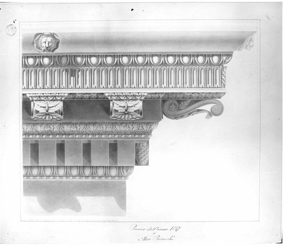dettaglio, architettura: trabeazione corinzia (disegno, opera isolata) di Bianchi Mosè (sec. XIX)