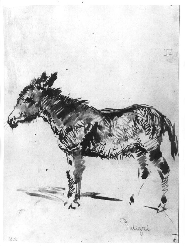 asinello (disegno, serie) di Palizzi Filippo (terzo quarto sec. XIX)