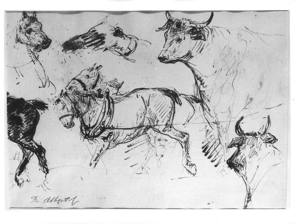 cavalli e mucche (studio) (disegno) di De Albertis Sebastiano (sec. XIX)
