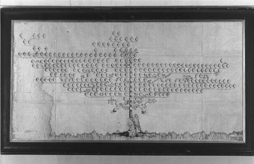 albero genealogico della famiglia Morando de Rizzoni (disegno, opera isolata) di Cornale Michelangelo (attribuito) (sec. XVIII)