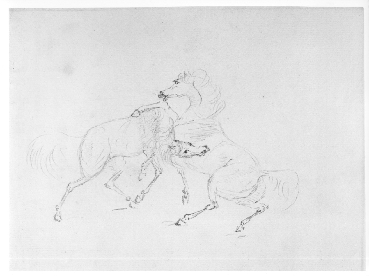 cavallini rampanti (disegno, opera isolata) - ambito lombardo (sec. XIX)