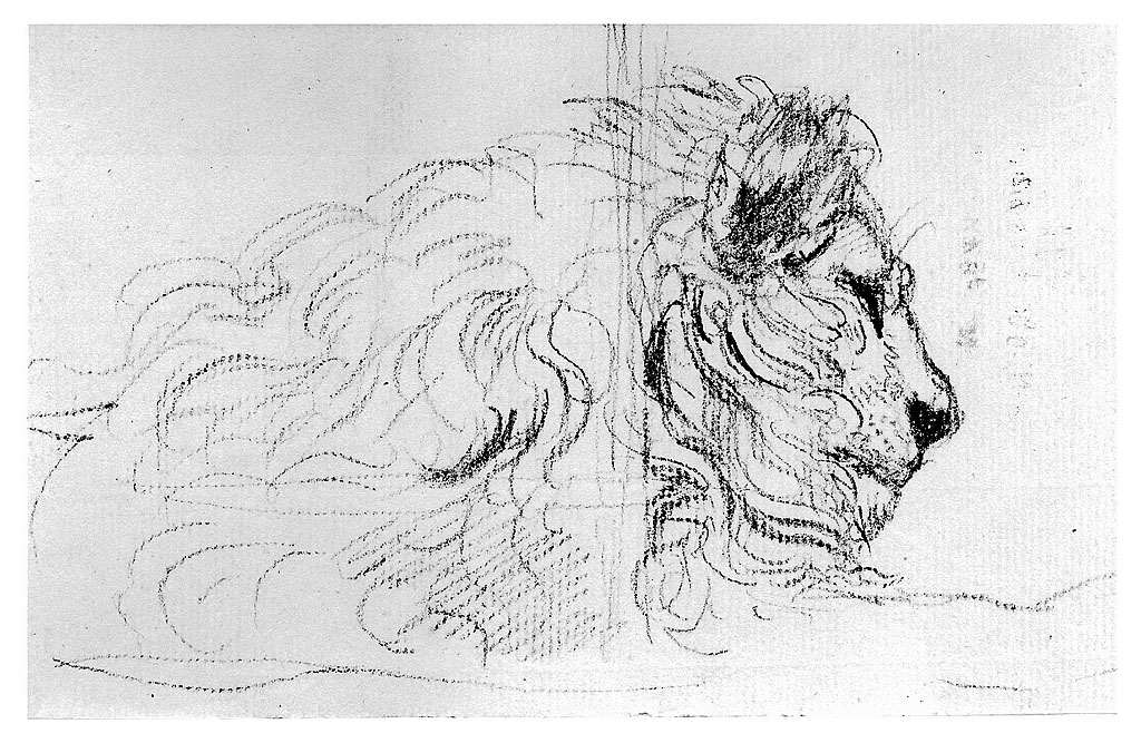 testa di leone (disegno, opera isolata) di Cosway Richard (seconda metà sec. XVIII)