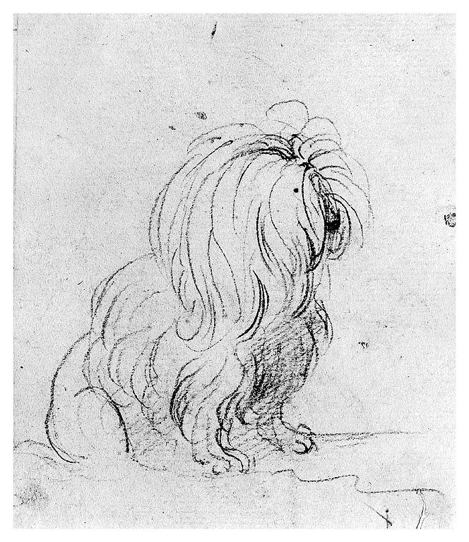 cane (disegno, opera isolata) di Cosway Richard (seconda metà sec. XVIII)