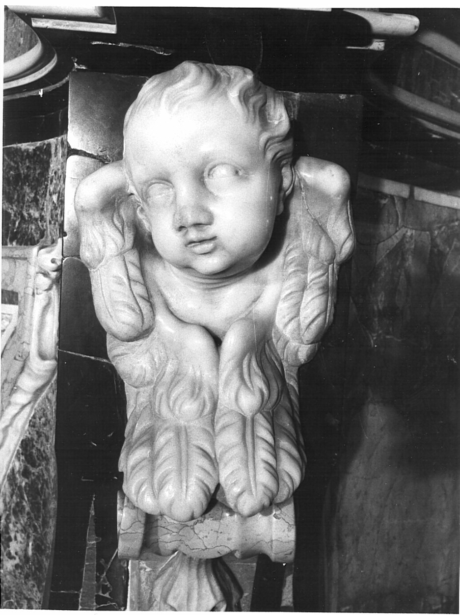 cherubino (scultura, elemento d'insieme) di Sanz Giovanni Antonio (metà sec. XVIII)