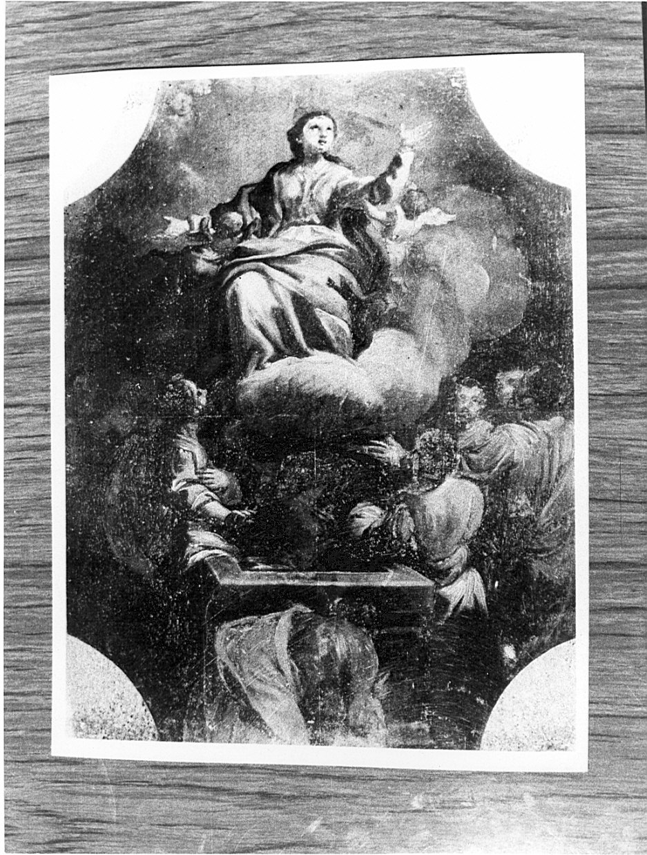 assunzione della Madonna (dipinto, elemento d'insieme) di Carobio Giovanni (attribuito) (metà sec. XVIII)