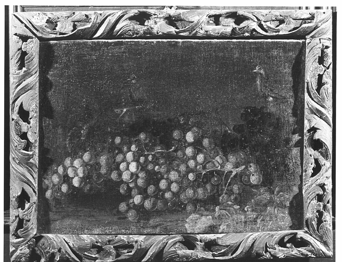 natura morta con frutta (dipinto, opera isolata) - ambito lombardo, ambito fiammingo (secc. XVII/ XVIII)