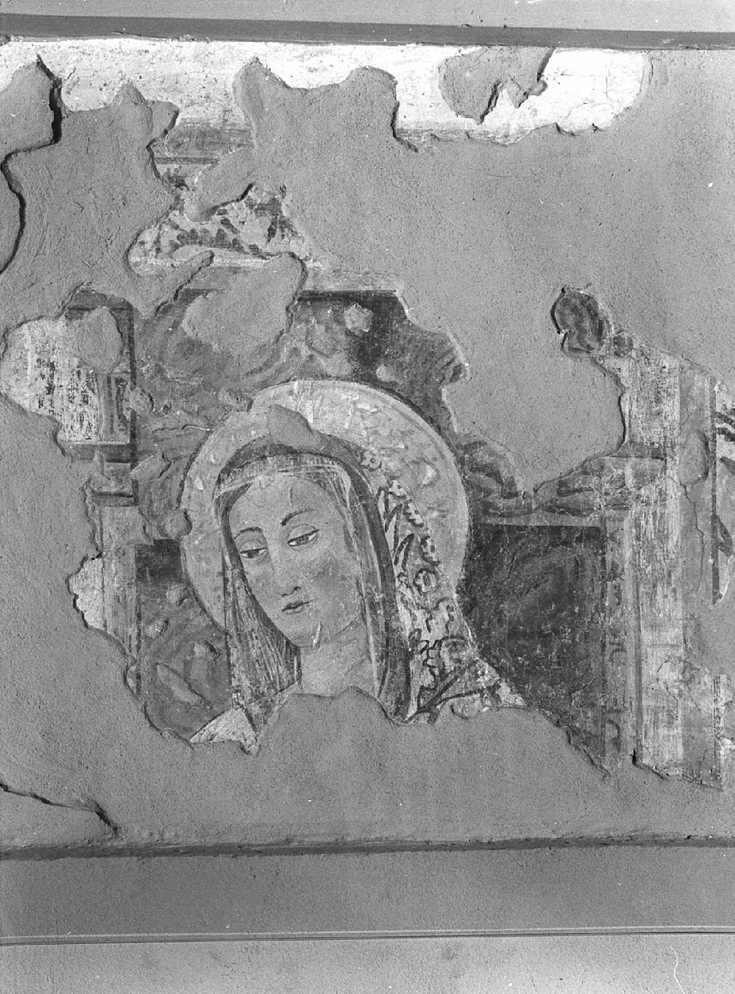 volto della Vergine (dipinto, opera isolata) - ambito lombardo (sec. XVI)