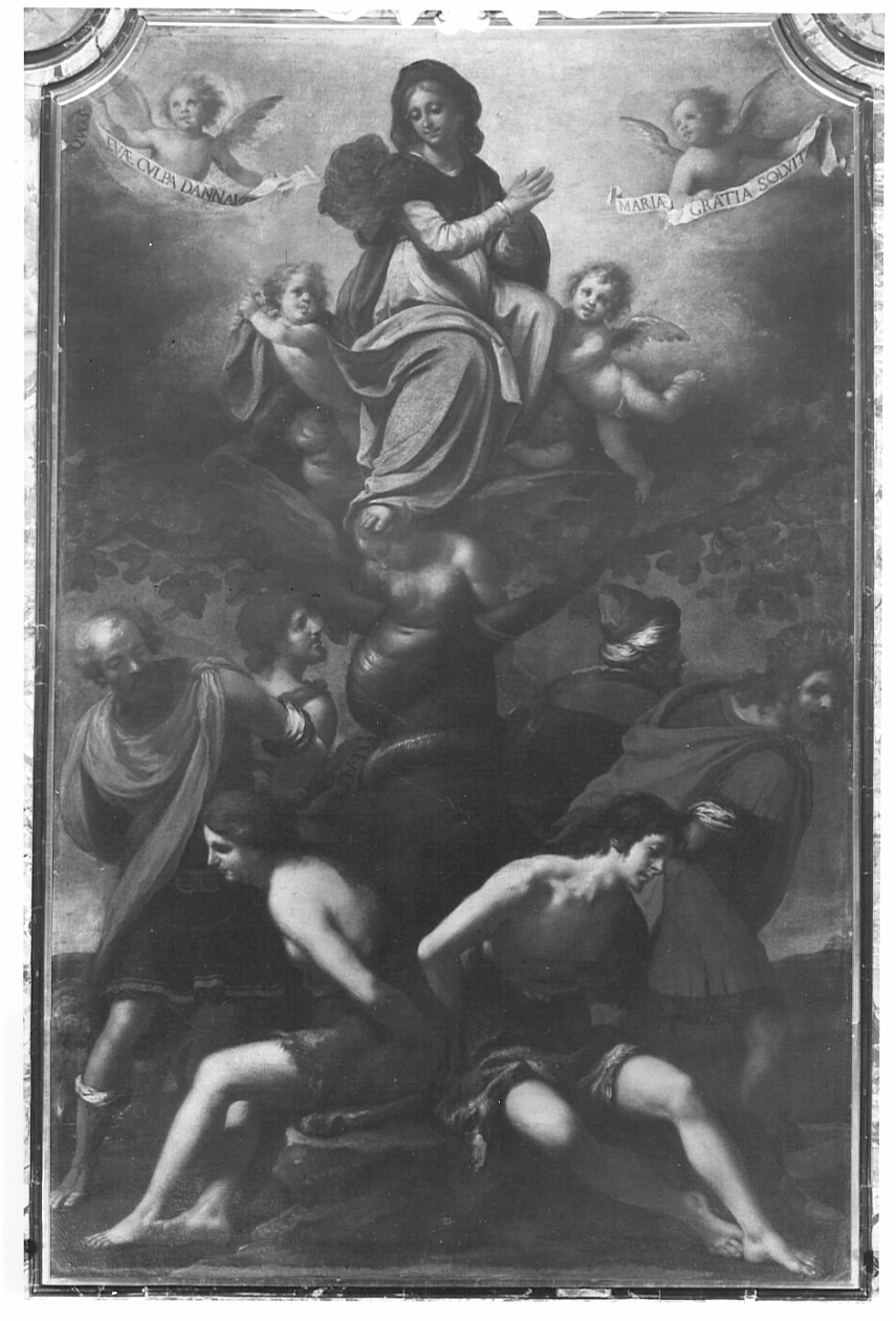 Immacolata Concezione (dipinto, opera isolata) di Carpinoni Domenico (attribuito) (prima metà sec. XVII)