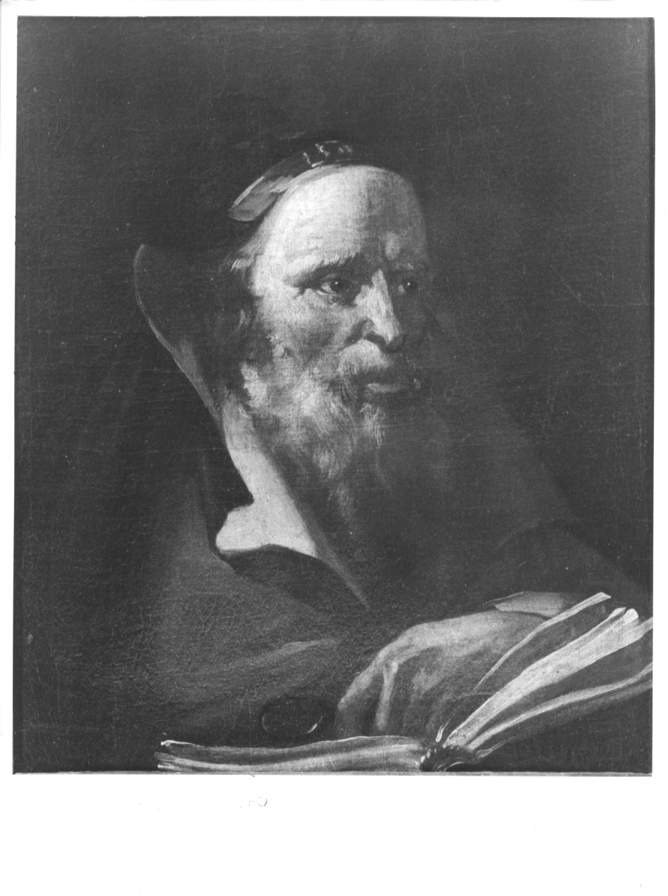 testa di vecchio (dipinto, opera isolata) - ambito veneto (sec. XVIII)