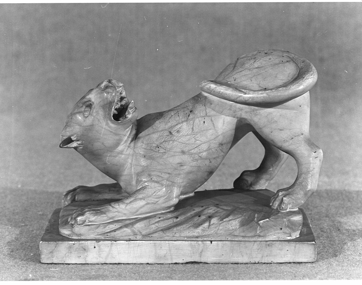 tigre (statuetta, opera isolata) - manifattura italiana (inizio sec. XIX)