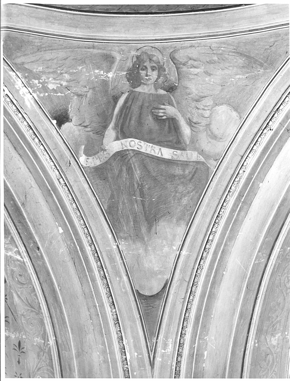 angelo con cartiglio (dipinto, elemento d'insieme) di Moriggia Giovanni (seconda metà sec. XIX)