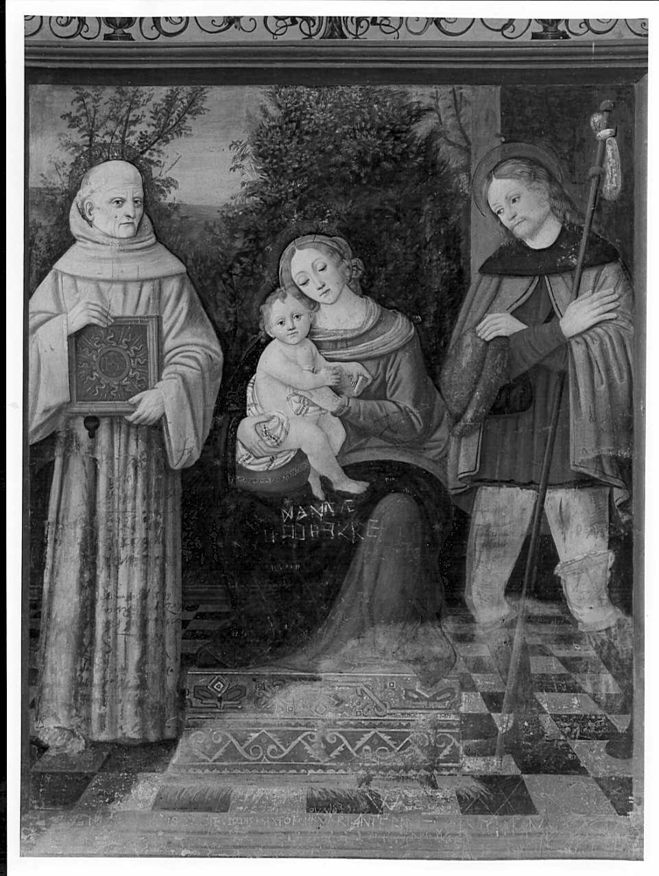 Madonna con Bambino e Santi (dipinto, opera isolata) di Stella Fermo detto Fermo da Caravaggio (sec. XVI)
