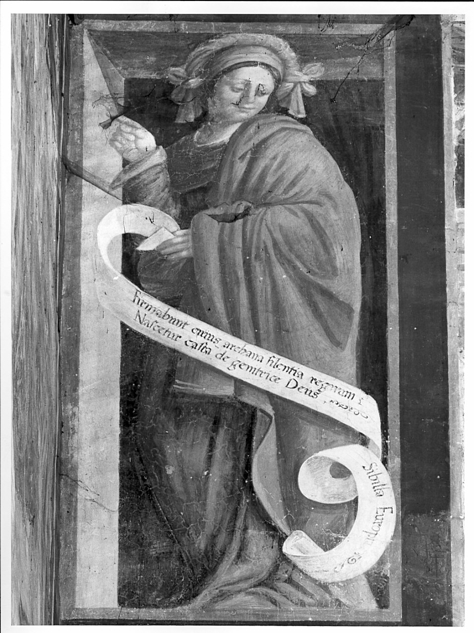 Sibilla Europa (dipinto, elemento d'insieme) di Stella Fermo detto Fermo da Caravaggio (sec. XVI)