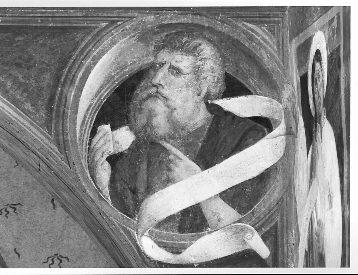profeta (dipinto, elemento d'insieme) di Stella Fermo detto Fermo da Caravaggio (sec. XVI)