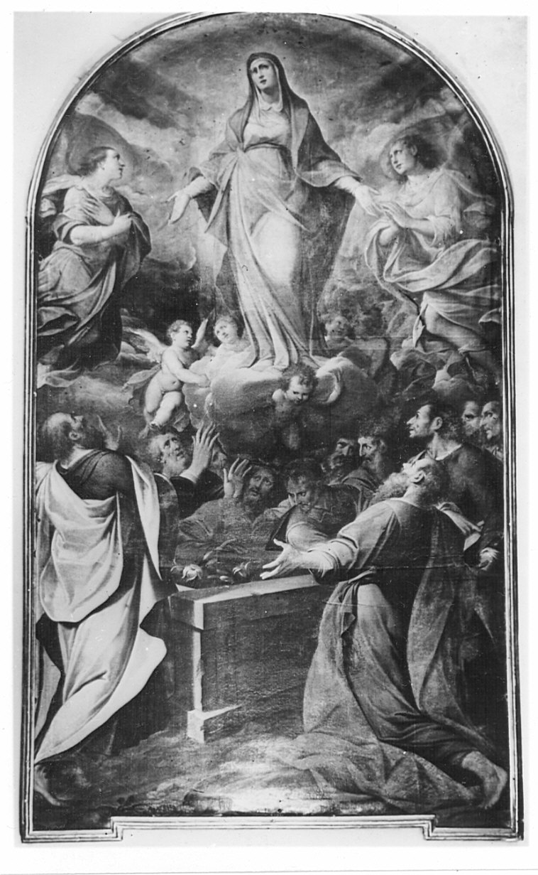 assunzione della Madonna (dipinto, opera isolata) di Procaccini Camillo (sec. XVII)