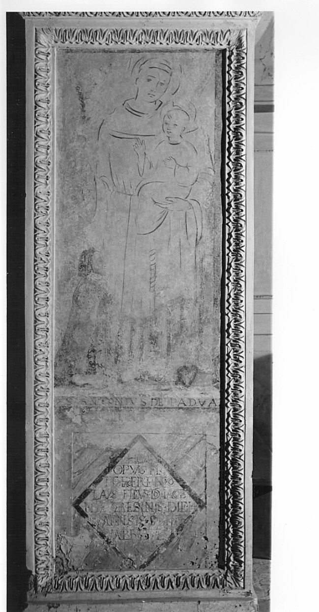 Sant'Antonio da Padova (dipinto, opera isolata) di Boselli Antonio (primo quarto sec. XVI)