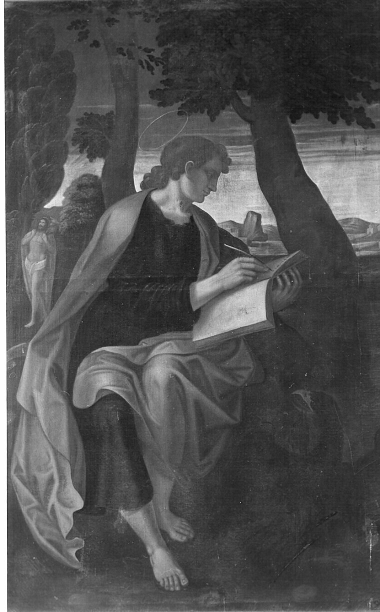 San Giovanni Evangelista (dipinto, opera isolata) - ambito cremonese (fine sec. XVI)
